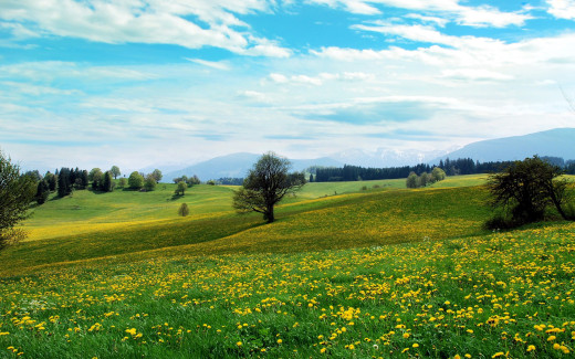 802878 (a): :2560x1600